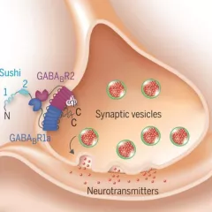 Rice et al 2019
