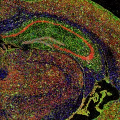 Chen et al
